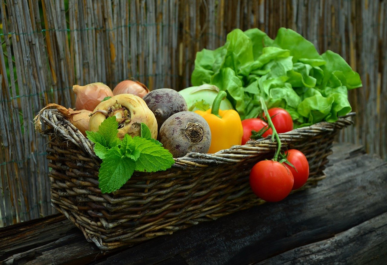alimentation saine pour seniors