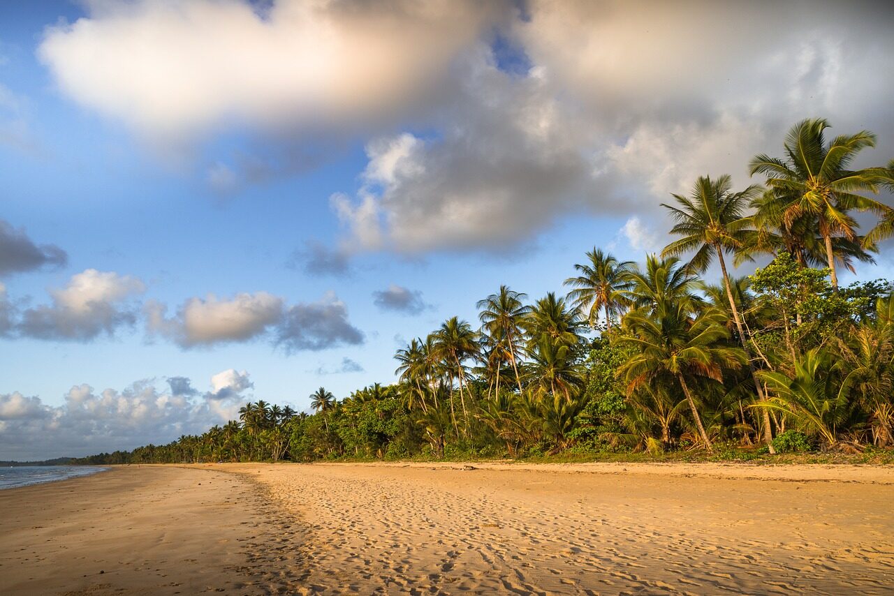 mission beach, australia, palm trees, beach, nature, queensland
