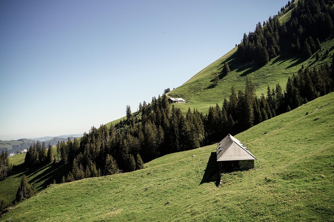 switzerland, diemtigtal, hike, mountains, hut, house, nature, summer, landscape, idyllic, hill, green, trees, mountain, peaceful, outdoors, switzerland, switzerland, switzerland, switzerland, switzerland, hill